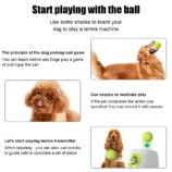 40877a165511739f232f881657c9c8aa.webp
