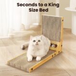 5e630baccf6fec4fbbfd89c31c1e3713.jpeg