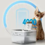 966739efa00d06ff9e49816d8608208d.webp