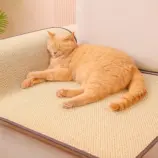 a36b78d7775ae69e746fc4201220ca76.webp