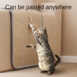 ab3d441705d21a62ebd9cf94b80bcce4.jpg