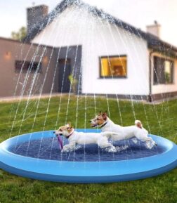 Interactive Dog Splash Pool & Sprinkler Mat
