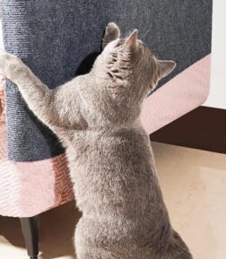 Self-Adhesive Cat Scratch Guard for Sofas and Walls