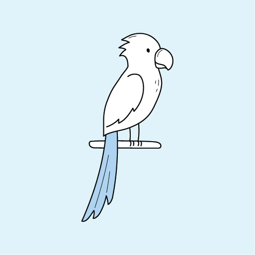 Bird Supplies